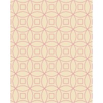 Tanesha TS3002 Peach/Raspberry 8x10 Rug