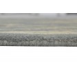 Traditional-Persian/Oriental Hand Tufted Wool Dark Grey 4' x 6' Rug