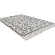 Traditional-Persian/Oriental Hand Knotted Wool Off-White 4' x 6' Rug